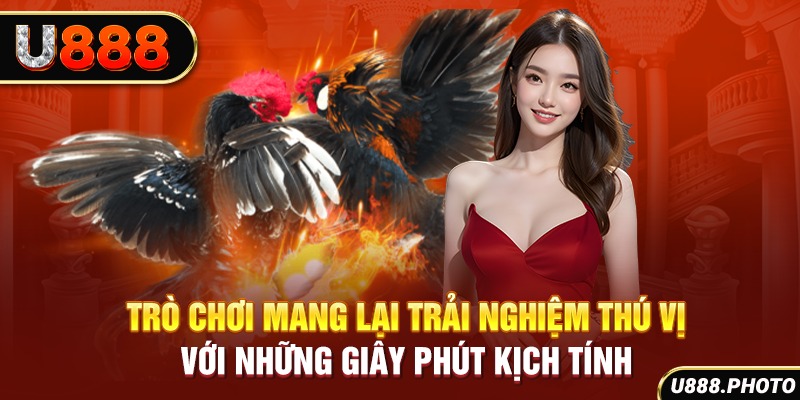 Trò chơi mang lại trải nghiệm thú vị với những giây phút kịch tính